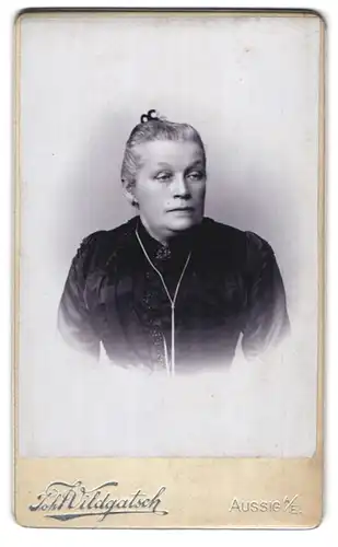 Fotografie J. Wildgatsch, Aussig a. d. Elbe, Teplitzerstr. 9, Ältere Dame im bestickten Kled mit Kragenbrosche