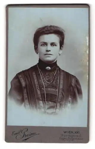 Fotografie Emil Preim, Wien, Stryeckgasse 3 Eingang Pragerstr., Junge Dame im Kleid mit Kragenbrosche