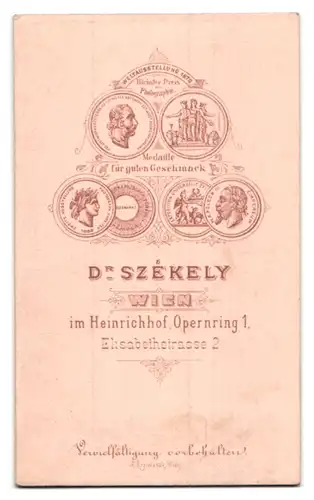 Fotografie Dr. Székely, Wien, Opernring 1, Elisabethstr. 2, Junge Dame mit Hochsteckfrisur