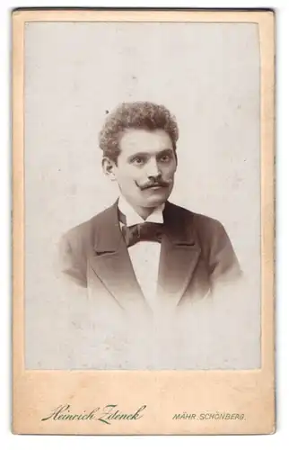 Fotografie Heinrich Zdenek, Mähr. Schönberg, Schillerstr., Eleganter Herr mit Schnauzbart