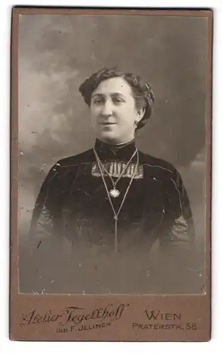 Fotografie F. Jelinek, Wien, Praterstr. 58, Bürgerliche Dame im Kleid mit Halskette