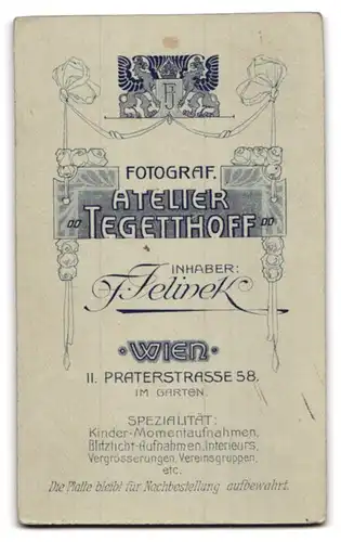 Fotografie F. Jelinek, Wien, Praterstr. 58, Bürgerliche Dame im Kleid mit Halskette