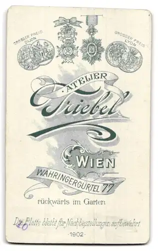 Fotografie Atelier Triebel, Wien, Währingergürtel 77, Dame in gestreifter Plisseebluse