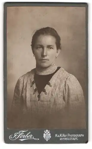 Fotografie Jodef Ferber, Wr. Neustadt, Bahngasse 30, Frau in kleinkarierter Bluse