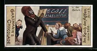 Sammelbild Gartmann`s Chocolade, Im Reich der Affen, In der Schule