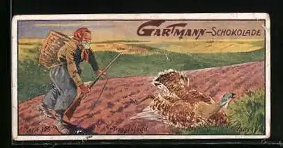 Sammelbild Gartmann`s Chocolade, Jägerlisten, Trappenjagd