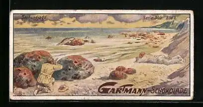 Sammelbild Gartmann`s Chocolade, Jägerlisten, Seehundjagd