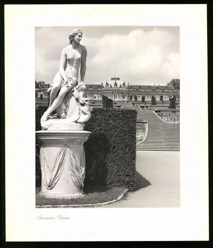 12 Fotografien E. Trepte, Ansicht Potsdam-Sanssouci, Römische Bäder, Venus, Chinesisches Teehaus, Neues Palais