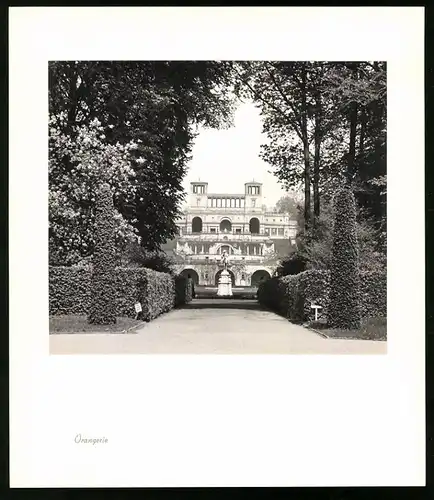 12 Fotografien E. Trepte, Ansicht Potsdam-Sanssouci, Römische Bäder, Venus, Chinesisches Teehaus, Neues Palais