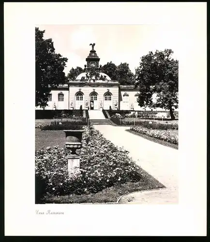 12 Fotografien E. Trepte, Ansicht Potsdam-Sanssouci, Römische Bäder, Venus, Chinesisches Teehaus, Neues Palais