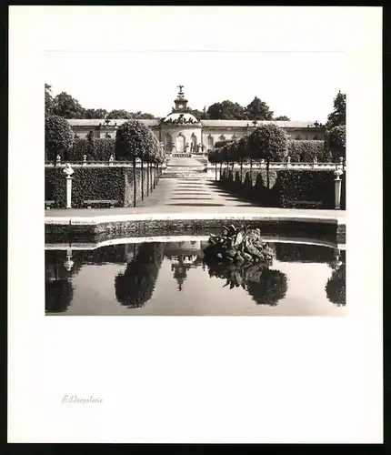 12 Fotografien E. Trepte, Ansicht Potsdam-Sanssouci, Römische Bäder, Venus, Chinesisches Teehaus, Neues Palais