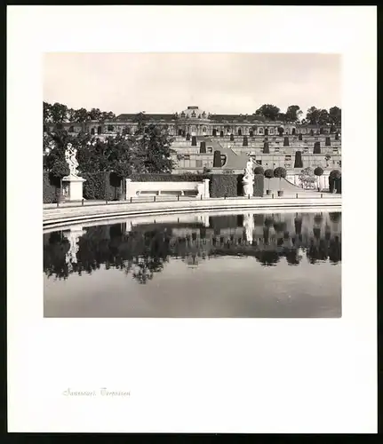 12 Fotografien E. Trepte, Ansicht Potsdam-Sanssouci, Römische Bäder, Venus, Chinesisches Teehaus, Neues Palais