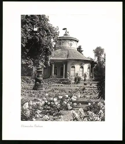 12 Fotografien E. Trepte, Ansicht Potsdam-Sanssouci, Römische Bäder, Venus, Chinesisches Teehaus, Neues Palais