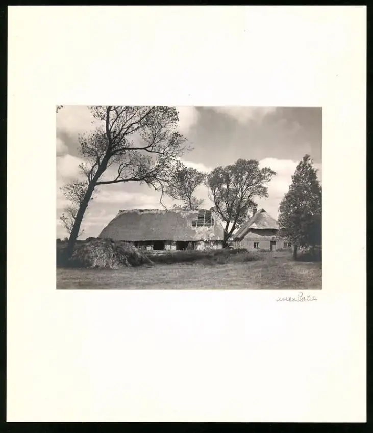 Fotoalbum 12 Fotografien, Max Baur, Potsdam, Ansicht Rügen, Auf der Insel Rügen, Kate, Möwen, Dünen 0
