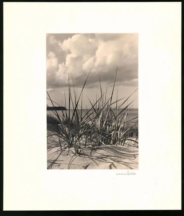 Fotoalbum 12 Fotografien, Max Baur, Potsdam, Ansicht Rügen, Auf der Insel Rügen, Kate, Möwen, Dünen 1