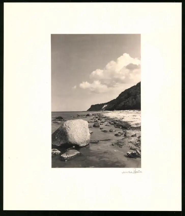Fotoalbum 12 Fotografien, Max Baur, Potsdam, Ansicht Rügen, Auf der Insel Rügen, Kate, Möwen, Dünen 11