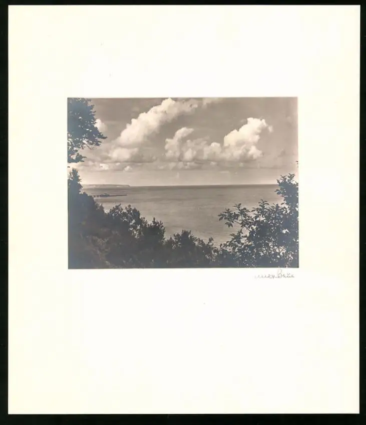 Fotoalbum 12 Fotografien, Max Baur, Potsdam, Ansicht Rügen, Auf der Insel Rügen, Kate, Möwen, Dünen 6
