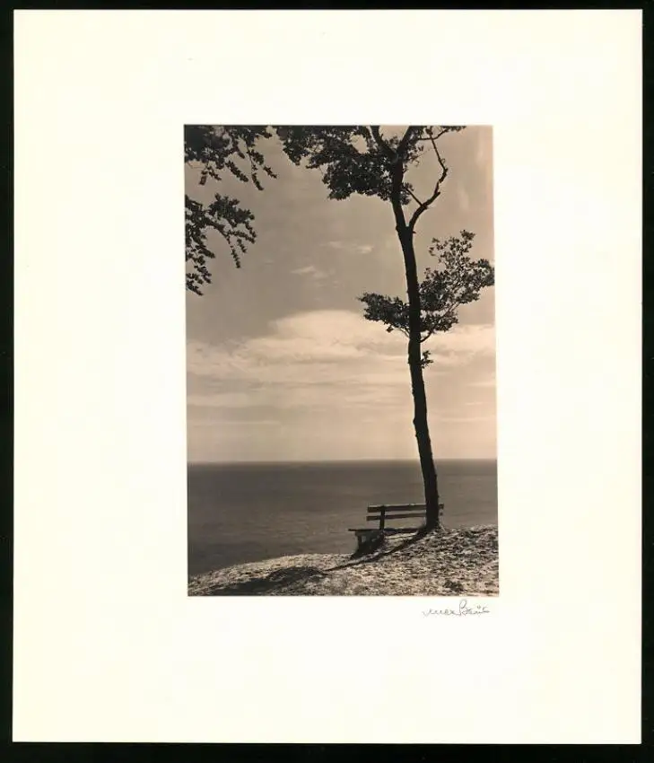 Fotoalbum 12 Fotografien, Max Baur, Potsdam, Ansicht Rügen, Auf der Insel Rügen, Kate, Möwen, Dünen 8