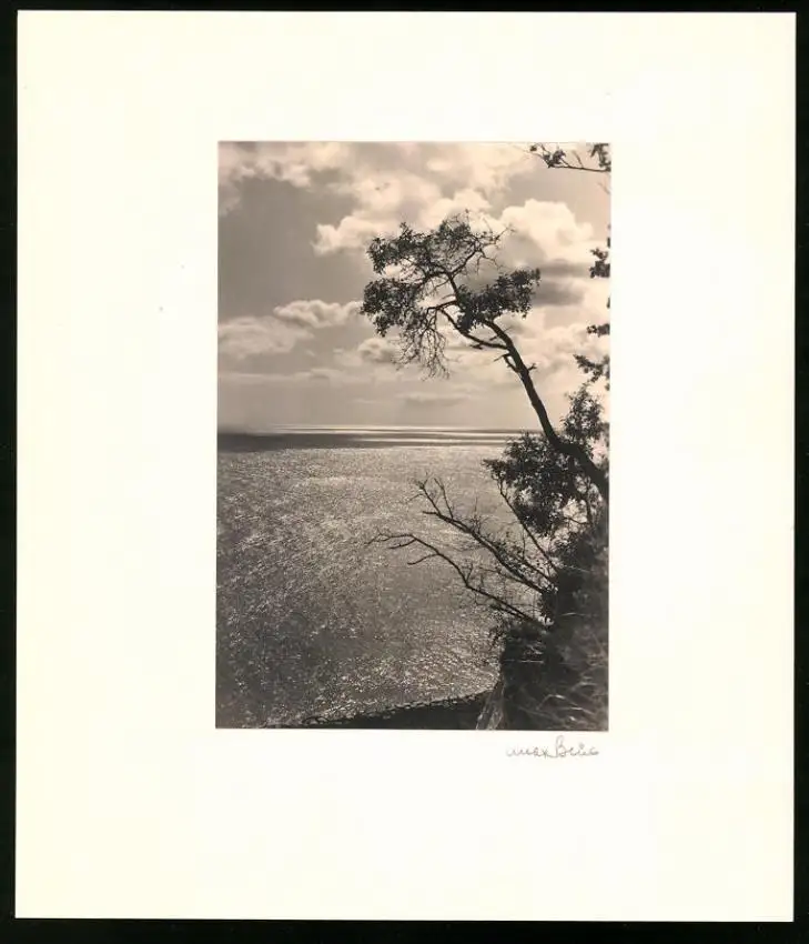 Fotoalbum 12 Fotografien, Max Baur, Potsdam, Ansicht Rügen, Auf der Insel Rügen, Kate, Möwen, Dünen 9