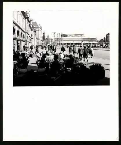 12 Fotografien Ansicht Dresden, Leben im Sozialismus, DDR, Autobus, Zwinger, Promenade, Neubau, Springbrunnen