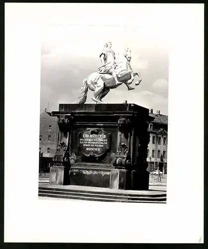 12 Fotografien Ansicht Dresden, Leben im Sozialismus, DDR, Autobus, Zwinger, Promenade, Neubau, Springbrunnen