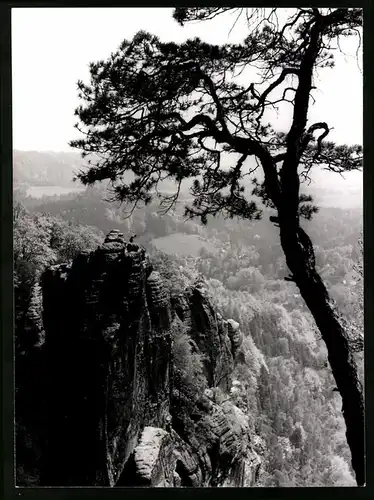 12 Fotografien Ansicht Bastei-Sächsische Schweiz, Bastei, Barbarine, Gestung Königstein, Traktor, Gohrisch