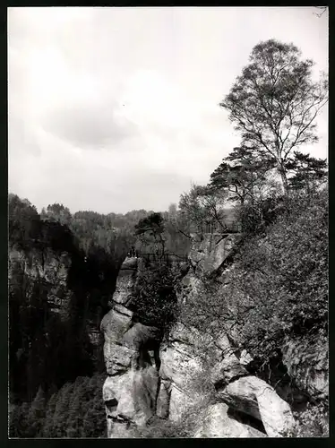 12 Fotografien Ansicht Bastei-Sächsische Schweiz, Bastei, Barbarine, Gestung Königstein, Traktor, Gohrisch