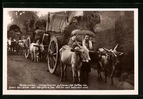 AK Vorderindien, Ochsenkarren mit Kaffee