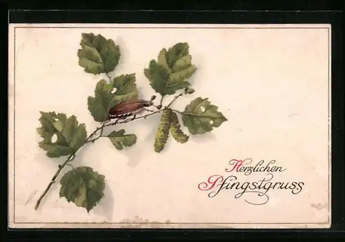 AK Pfingstgrüsse mit einem Maikäfer auf einem Birkenzweig