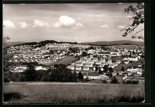 AK Freyung /Bayer. Wald, Gesamtblick