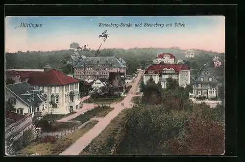 AK Nürtingen, Steineberg-Strasse und Steineberg mit Villen