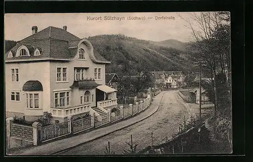 AK Sülzhayn /Harz, Dorfstrasse mit Siedlungspartie