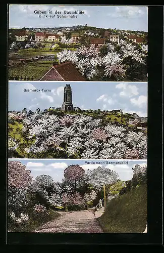 AK Guben, Ortsansicht mit Blick auf Schönhöhe, Bismarck-Turm