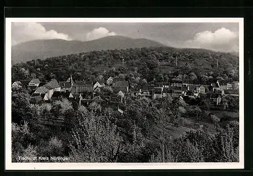 AK Tischardt /Nürtingen, Blick ins Dorf