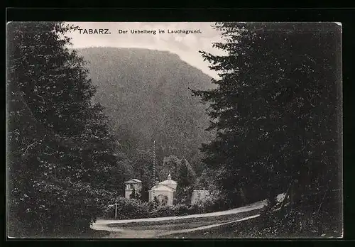 AK Tabarz /Thür. Wald, Uebelberg im Lauchagrund