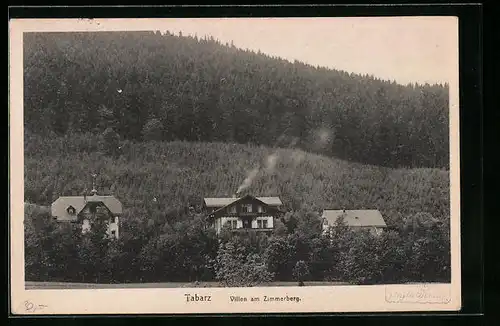 AK Tabarz /Thür. Wald, Villen am Zimmerberg