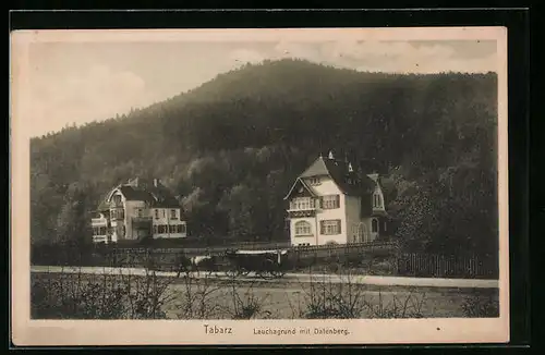 AK Tabarz /Thür. Wald, Lauchagrund mit Datenberg