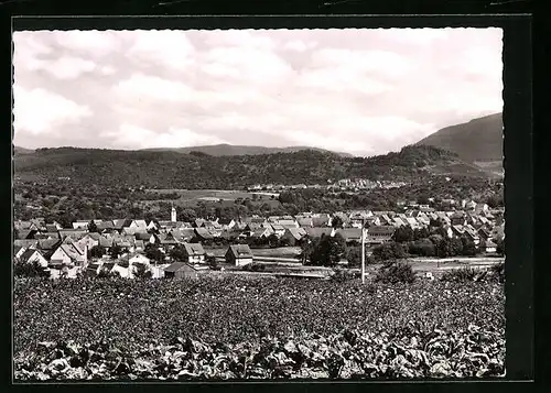 AK Riederich, Ortsansicht hinter Feld