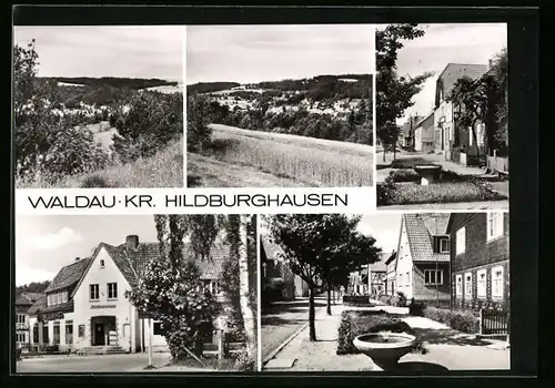 AK Waldau /Hildburghausen, Strasse mit Wohnhäusern und Teilansicht