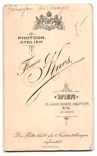 Fotografie Franz Knes, Wien, Hauptstr. 2, Portrait blondes süsses Mädchen im bestickten Kleid