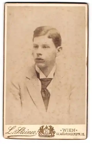 Fotografie L. Steiner, Wien, Währingerstr. 15, Portrait junger Mann mit Krawatte im Jackett