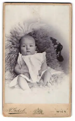 Fotografie R. Gutsch, Wien-Wieden, Favoritenstr. 29-31, Portrait niedliches Baby im weissen Kleidchen auf Fell liegend
