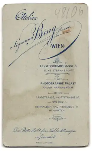 Fotografie Sigmund Bing, Wien, Goldschmidgasse 4, Portrait stattlicher Herr mit Schnurrbart im Jackett