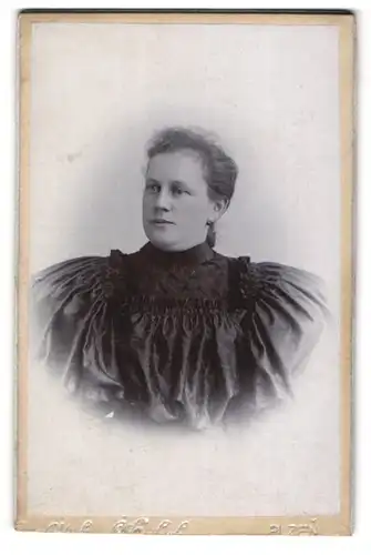 Fotografie C. Hrabek, Pilsen, Portrait einer elegant gekleideten Frau in prachtvoller Bluse