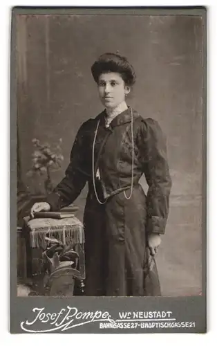 Fotografie Josef Pompe, Wiener Neustadt, Bahngasse 27, Portrait dunkelhaarige Schönheit im prachtvollen Kleid