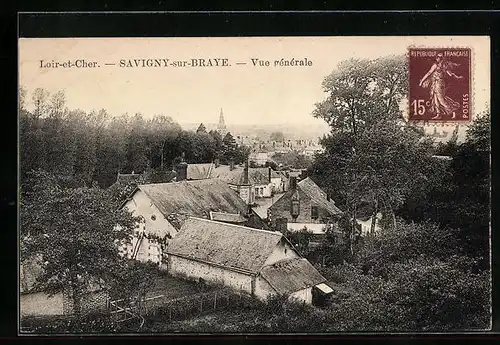 AK Savigny-sur-Braye, Vue générale