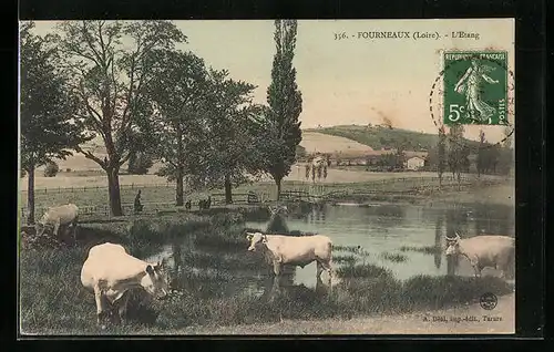 AK Fourneaux, l'Etang