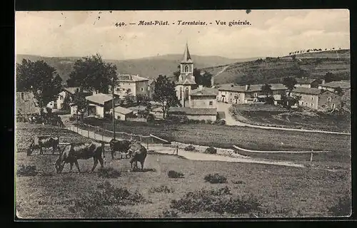 AK Tarentaize, Vue générale