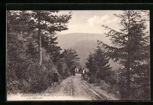 AK Doizieu, Route du Collet à la Balaterie