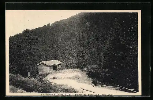 AK St-Sauveur-en-Rue, Foret de Taillard, un Abri